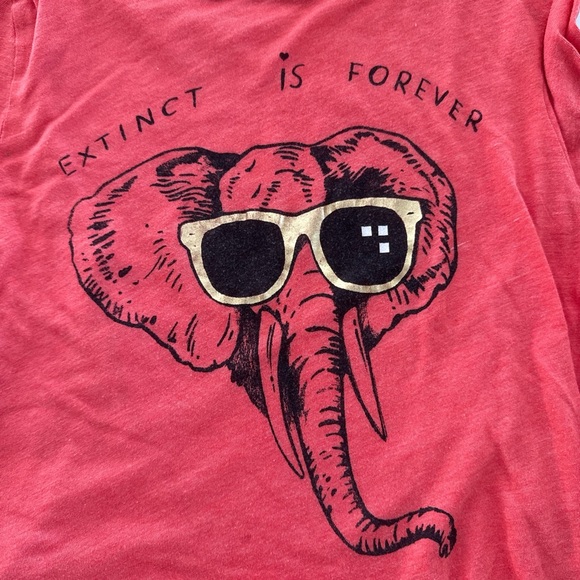 WILDFOX crop vintage graphic tee - small - Picture 3 of 6